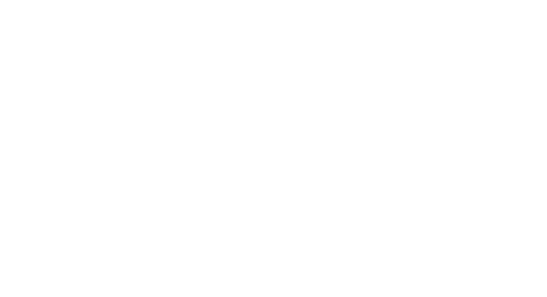 Wellnexus WhiteLogo