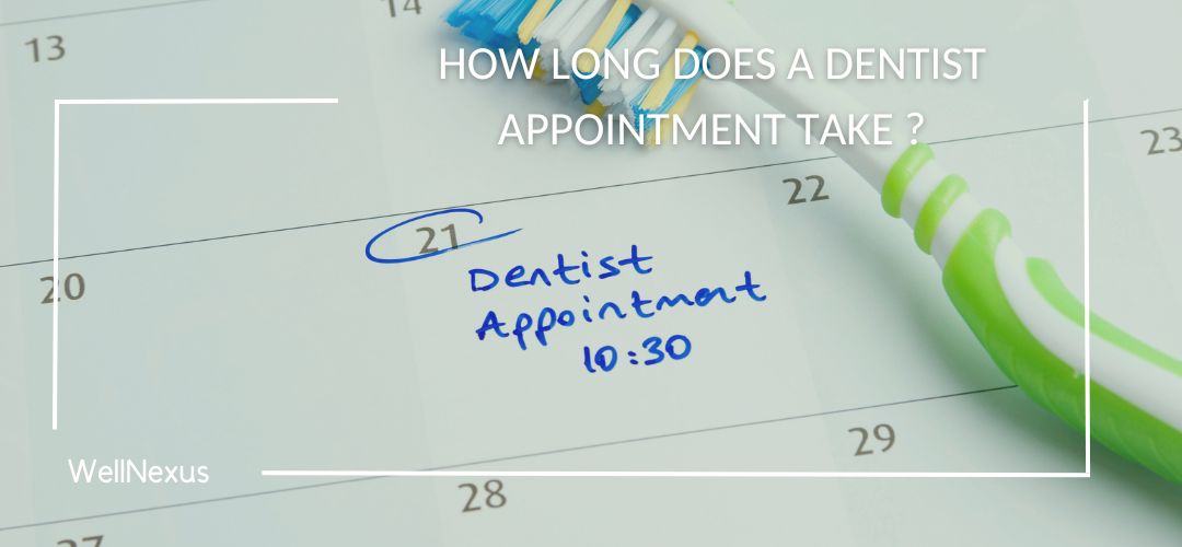 how long does a dentist appointment take